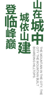 自然生态观赏游历史文化探寻游宗教文化拜谒游民俗文化山乡游