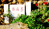 石鼓寺