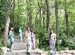 【醉美】春风十里扬州路，不如一缕槐花香——旗袍丽人大黑山赏槐记！