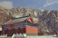 槐花+传统文化=？明天来大黑山朝阳寺揭开谜底吧~！
