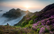 【邀请函】今天你养生了吗？5月19日，大黑山唐王宫等你来！