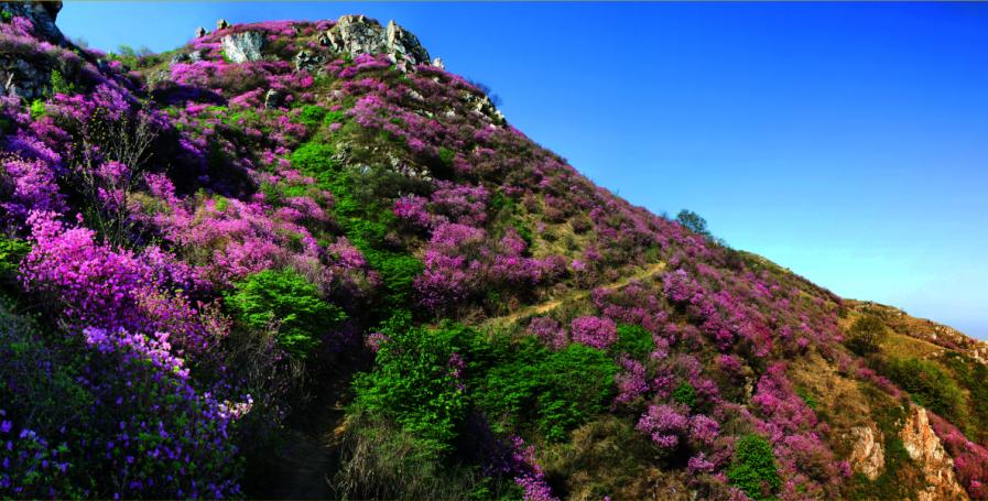 大黑山新增二处观景台